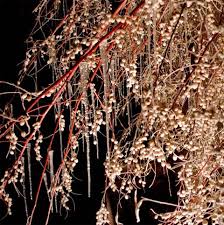 Get inspired with 50 fabulous christmas tree decor ideas. Glass Icicles Frosted Elegance Holiday Decor