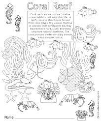 Online printable coloring sheets even if can be speedily delivered at the reception desk. Coral Reef Animal Printouts Cover Page Enchantedlearning Com Coral Reef Animals Coral Reef Coloring Pages Coral Reef Drawing
