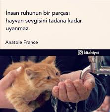 Insan Ruhunun Bir Parcasi Hayvan Sevgisini Tadana Kadar Uyanmaz Anatole France Kaynak Instagram Kitabiyat Sozler Hayvan France Kitap Alintilari