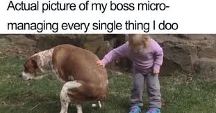 Use them in commercial designs under lifetime, perpetual & worldwide rights. 20 Of The Funniest Memes You Shouldn T Show Your Boss