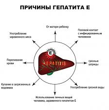 Профилактика гепатита C