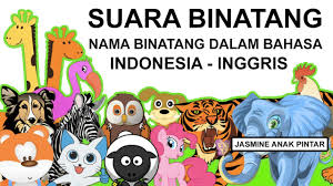 Check spelling or type a new query. Gambar Rantai Makanan Di Sawah Kebun Hutan Sungai Laut Dan Manusia Penulis Cilik
