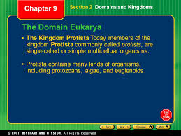 Chapter 9 Section 1 Sorting It All Out Why Classify Ppt Video Online Download