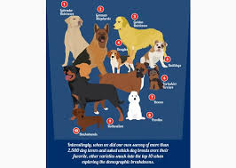 Most Popular Dog Breeds In The United States By Region