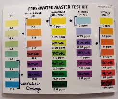 Easy Axolotl Water Parameters Guide Axolotl Outpost