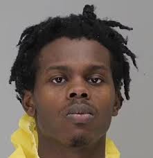 Man arrested in connection to missing Dallas Zoo monkeys: WFAA