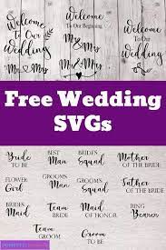 Download 1437 Wedding Koozie Svg Popular Svg File Free Svg Files For Download Create Your Diy Shirts Decals And Much More Using Your Cricut Explore Silhouette And Other Cutting Machines