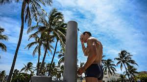 El sur de la Florida bajo alerta por calor: la sensación térmica alcanzará niveles cercanos a los 110...