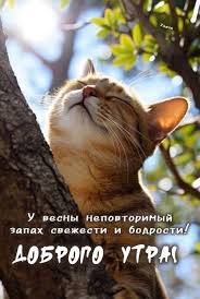 Открытки с добрым утром