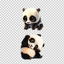 Giant Panda Red Panda Bear Baby Pandas Drawing Png Clipart Animal Animals Art Baby Pandas Bear