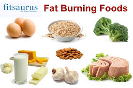 best indian diet plan to reduce tummy fat fitsaurus