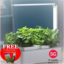 Hydroponics Kit Price And Deals Jun 2021 Shopee Singapore