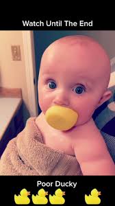 Guy in Bathtub with Ducks