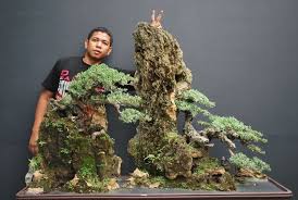 Gulliver For Scale Bonsai Forest Bonsai Tree Bonsai Garden