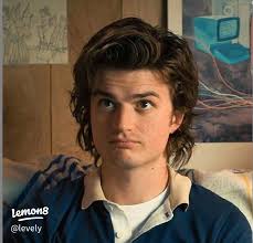 Steve Harrington: A Swiftie with a Twist