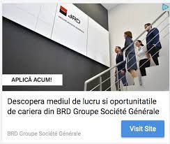 Furnizăm energie electrică pentru casa și familia ta. Brd AngajeazÄƒ Expert Business Trade Services Repatriot