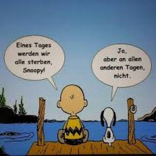 Ein Tierfreund Zu Sein Words Quotes Motivation