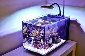 Best Nano Reef Light Top 8 Picks In 2020 Reviews Guide