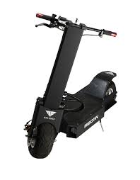 Bird Es1 300 Electric Scooter 300 Watt Motor Reviews Recon Maxforce Racing Electric Scooter 10000w Best Electric Scooter Electric Scooter Electric Bike Motor
