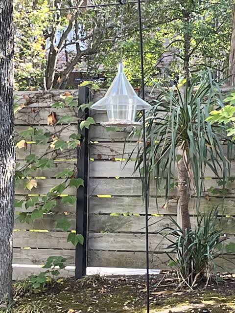 empty bird feeder
