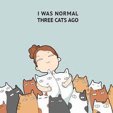 40 Funny Doodles For Cat Lovers And Your Cat Crazy Lady Friend Funny Doodles Cat Shirts Funny Cat Quotes