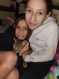 TLC shelter, in Homer Glen, IL.