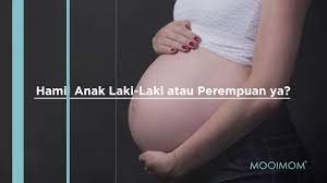 Walaupun kedengaran seperti mitos, tetapi terdapat kajian pada tahun 2012. Mamapedia Cara Menebak Hamil Anak Laki Atau Perempuan Kira Kira Seperti Ini Nih Youtube