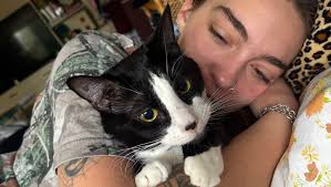 Fundraiser for Haley Sprenkle by David Borenstein : Support Haley's Beloved  Cat, String Bean