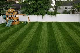 The lawn care nut allyn hane added a the lawn care. Plucking Blades By Hand Vacuuming The Grass This Is Extreme Lawn Care Wsj
