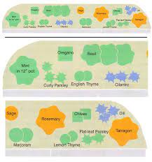 What are the benefits of a medicinal herb garden. 4 Simple Garden Designs To Grow Kitchen Herbs Mother Earth News