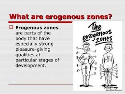 Specific Erogenous Zones Chart 2019