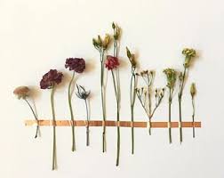 Maybe you would like to learn more about one of these? Dried Flower Wall Art Wall Decor Diy Floral Botanical Display Boho Bohemian Flower Garland Tape Wall Art Floral Wall Decor Washi Tape Wall Art