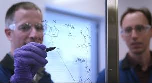 Casey Camire's Instagram, Twitter & Facebook