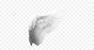 5 out of 5 stars. Google Search Angel Wings Png Tumblr Transparent Background Angel Wings Png Angel Wings Transparent Background Free Transparent Png Images Pngaaa Com