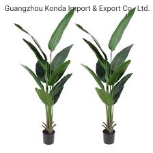 Maybe you would like to learn more about one of these? China Banana Leaf Tree Skybird Bird Of Paradise Plant Tree For Home Bonsai Plants Decor China Artificial Tree And Plastic Plant Price