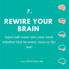 Pin On Brain
