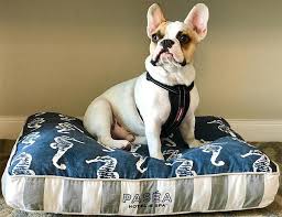 The huntington beach is our new revolutionary model just released in 2020! Bubbles Pet Spa Huntington Beach Pet Friendly Hotels In Huntington Beach Dog Friendly Hotels Bubbles Mobile Pet Spa Is Owned And Operated By Claudia And Her Husband Matt Thelinensam