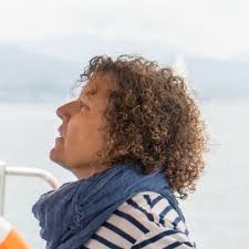 Als advocats que presten serveis per a les companyies d'assegurances