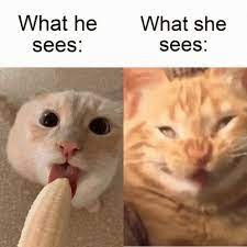 What He Sees Gif What He Sees Discover Share Gifs