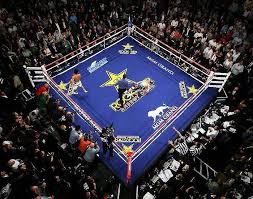 Pin On Boxing Is A Lady And Gentleman Sport