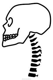 German word book to print. Spine Coloring Page Ultra Coloring Pages