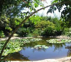 San Diego Botanic Garden Encinitas Ca San Diego Botanic Garden Meditation Garden Explore San Diego