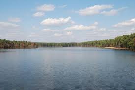Featured cabins in lake harmony. Campground Details Jordan Lake State Rec Area Nc North Carolina State Parks