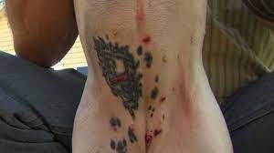 A dog tattoo can convey the concept of a guide to lead your way through the dark forests of life. Dog Tattoos Cruel Or Prudent Fox31 Denver