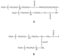 Y-Shape Peg Derivatives in Drug Delivery