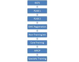 Plab Vs Mrcp Naseers Journey