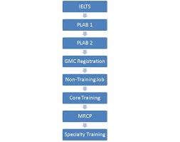 Plab Vs Mrcp Naseers Journey