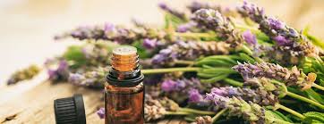 Aromatherapy: Do Essential Oils Really Work? | Johns Hopkins Medicine