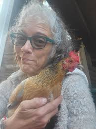 First day collecting 13 eggs from 19 hens