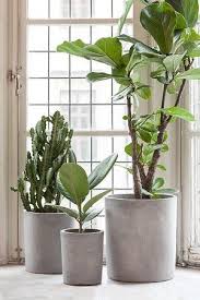 3 Things Best To Create Diy Plant Stands Plants Indoor Plants Diy Plant Stand